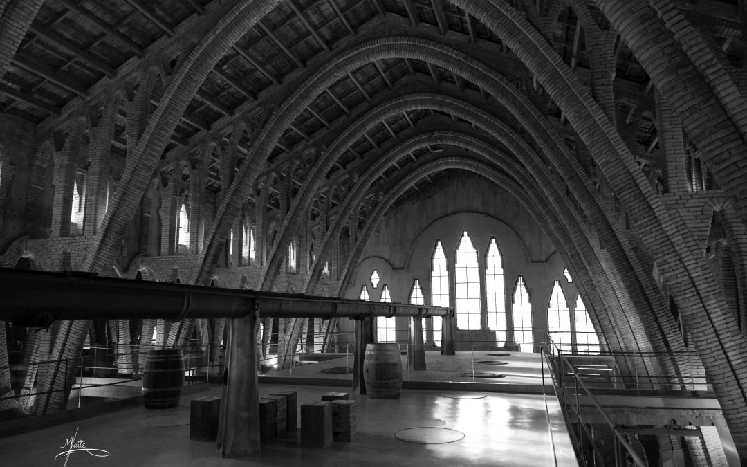 Interior de la Cooperativa de Pinell de Brai